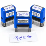 Ảnh 3